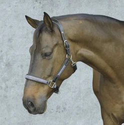 JPC EQUESTRIAN HDR Padded Jewel Halter Online