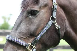 JPC EQUESTRIAN HDR Padded Jewel Halter Online