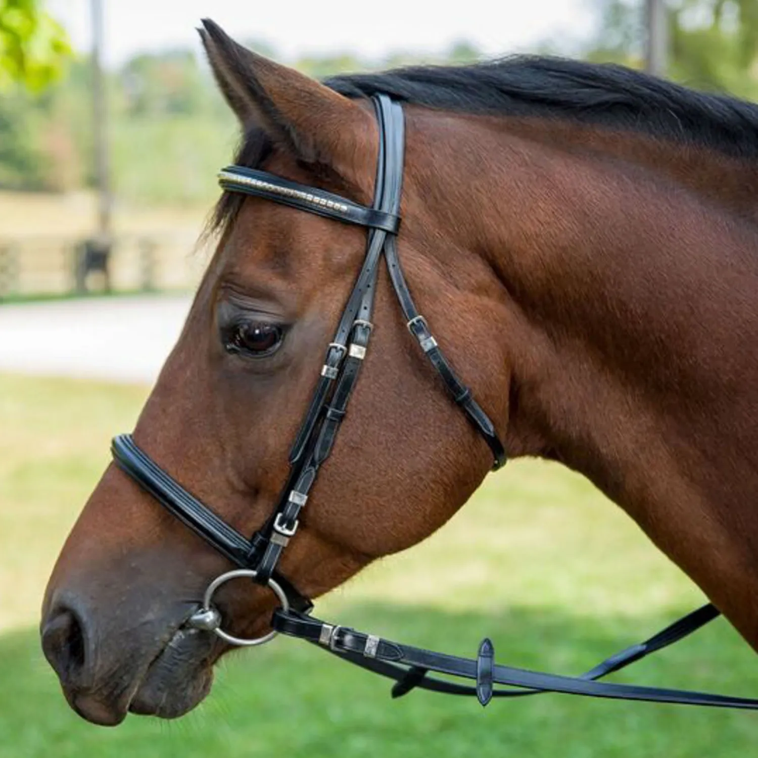 JPC EQUESTRIAN Henri de Rivel Clincher Bridle Black Clearance