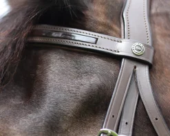 JPC EQUESTRIAN Henri de Rivel Piaffe Mono Crown Bridle with Flash Noseband & Patent Leather Clearance