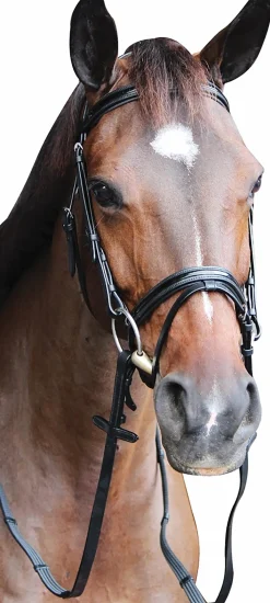JPC EQUESTRIAN Henri de Rivel Piaffe Mono Crown Bridle with Flash Noseband & Patent Leather Clearance