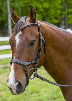 JPC EQUESTRIAN Henri de Rivel Pro Anatomical Bridle Discount