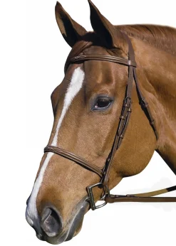 JPC EQUESTRIAN Henri de Rivel Pro Fancy Raised Bridle with Laced Reins Outlet