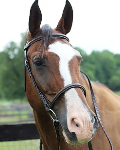 JPC EQUESTRIAN Henri de Rivel Pro Fancy Raised Bridle with Laced Reins Outlet