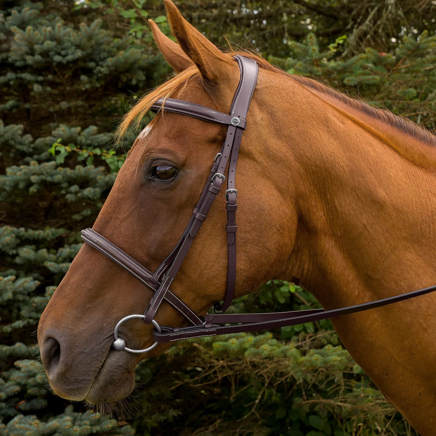 JPC EQUESTRIAN Henri de Rivel Pro Mono Crown Fancy-Stitched Padded Bridle with Laced Reins Hot