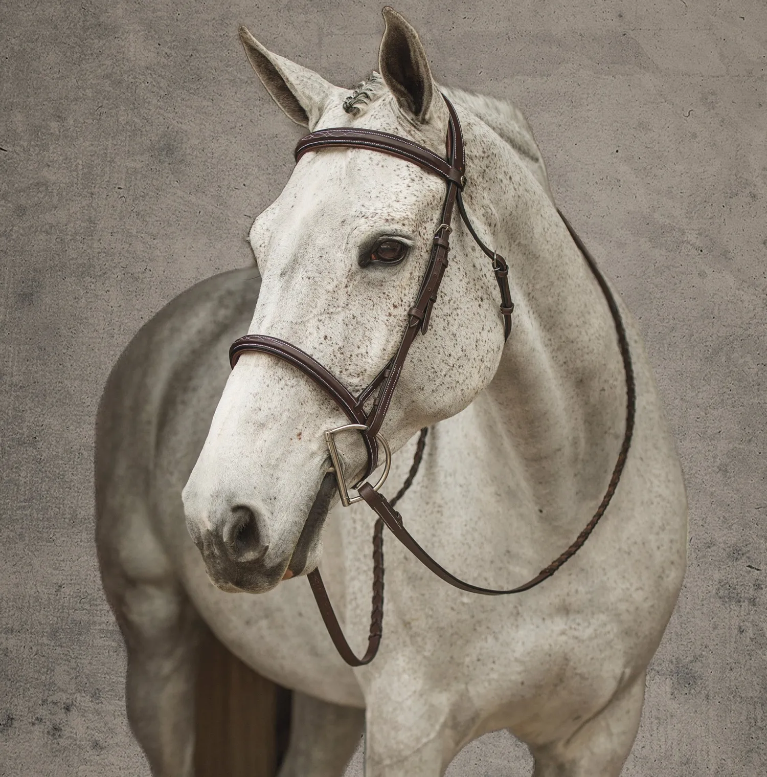 JPC EQUESTRIAN Henri de Rivel Pro Mono Crown Fancy-Stitched Padded Bridle with Laced Reins Hot