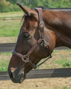 JPC EQUESTRIAN Henri de Rivel Stress Free Halter with Fancy Contrast Stitching Outlet