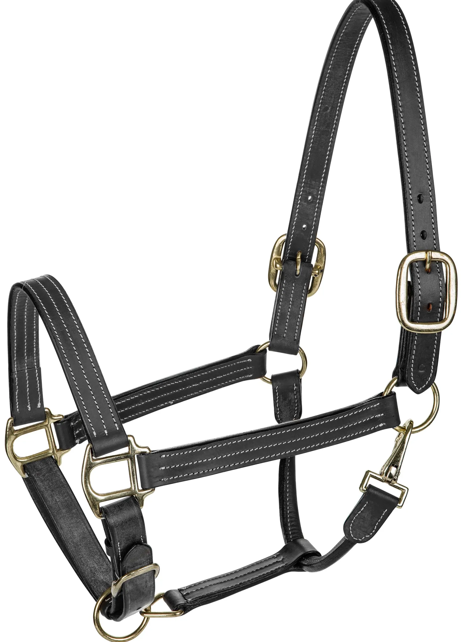JPC EQUESTRIAN Henri de Rivel Triple-Stitched Halter Hot