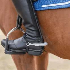 GEM-HERM SPRENGER Herm Sprenger® fairRider Spurs Clearance