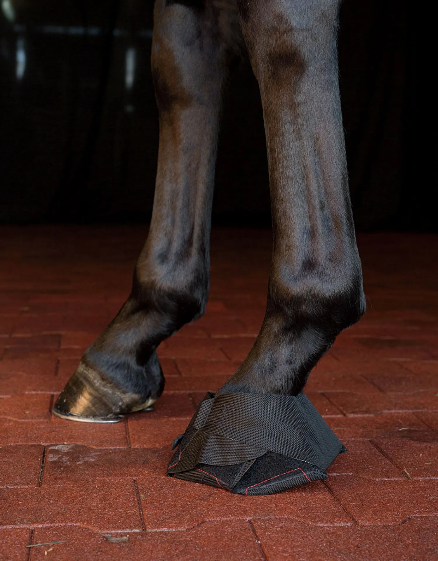 MACKINNON Hoof Wraps™ Bandage Black Best