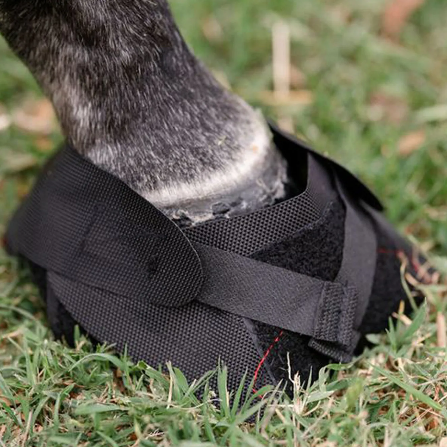 MACKINNON Hoof Wraps™ Bandage Black Best