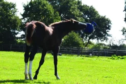 HORSEMEN S PRIDE Horsemen's Pride™ Jolly Ball® Sale