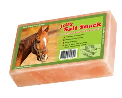 ANIMAL HEALTH INT Horsemen’s Pride™ Jolly Salt Snack Brick Hot