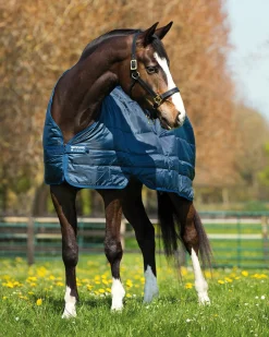 HORSEWARE ® Ireland 300 Gram Blanket Liner Navy/Navy Online