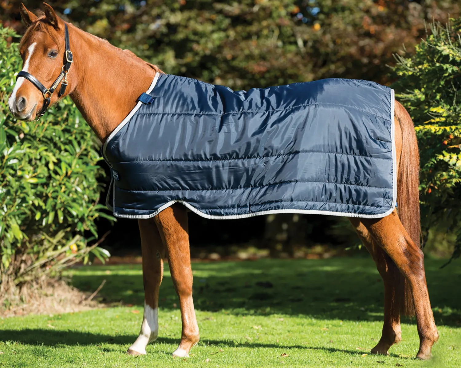 HORSEWARE ® Ireland 100 Gram Pony Blanket Liner Navy/Silver Clearance