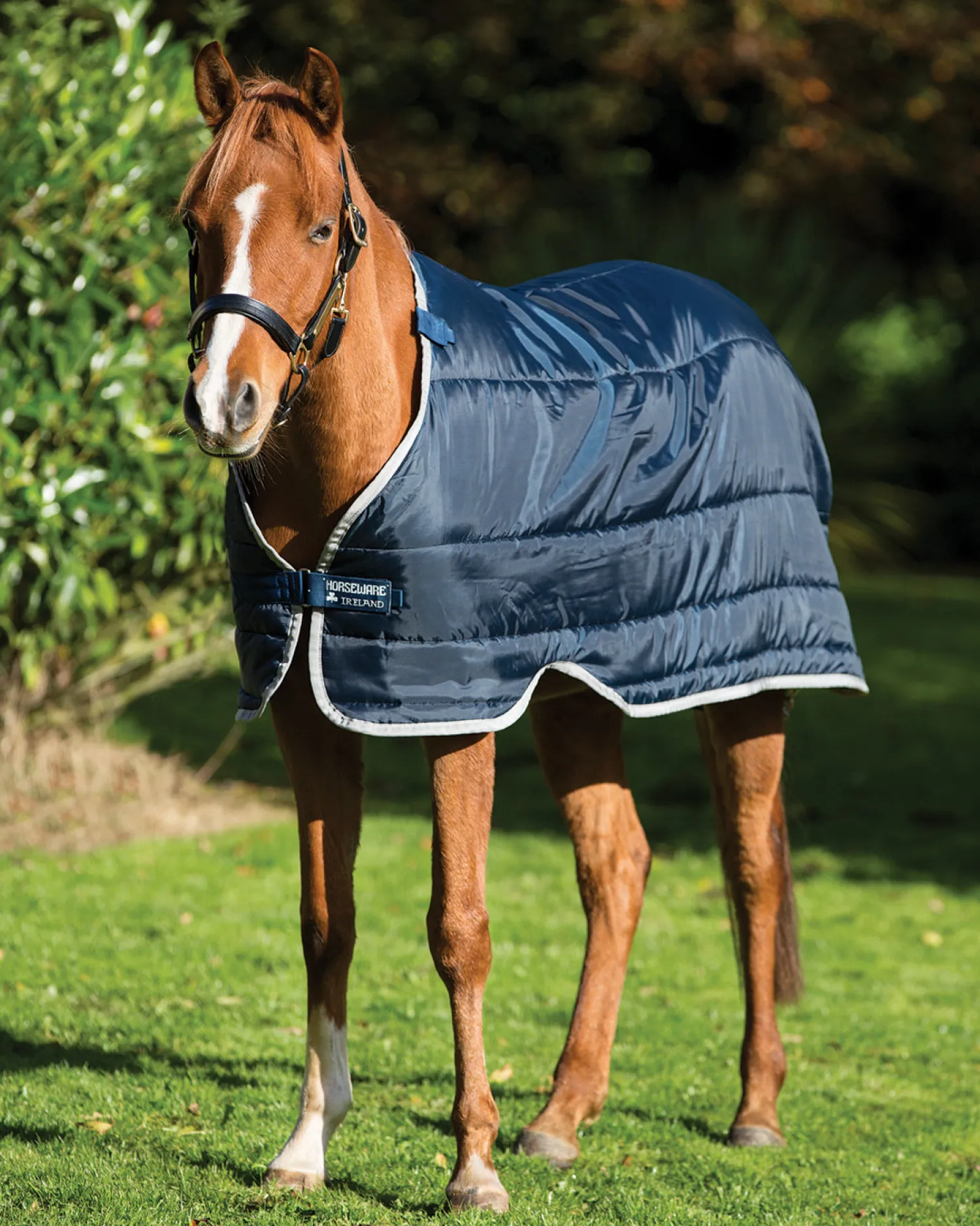 HORSEWARE ® Ireland 100 Gram Pony Blanket Liner Navy/Silver Clearance
