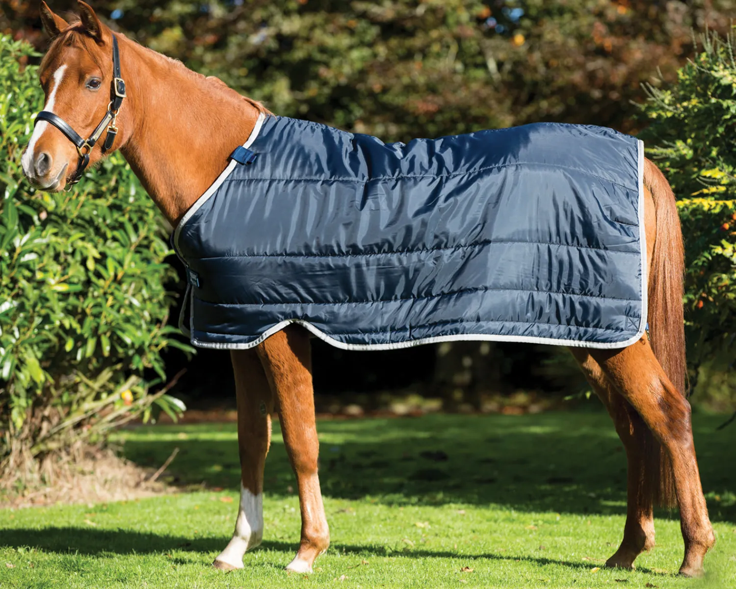 HORSEWARE ® Ireland 100 Gram Pony Blanket Liner Navy/Silver Clearance