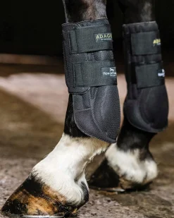 HORSEWARE ® Ireland Adagio Boots Black New