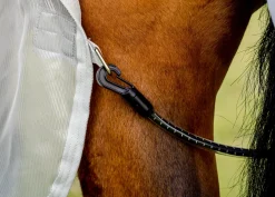 HORSEWARE ® Ireland Amigo® AmECO Combi (No Fill) Teal/Grey Best