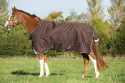 HORSEWARE ® Ireland Amigo® Bravo 12 Heavyweight Turnout Blanket