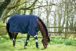 HORSEWARE ® Ireland Amigo® Bravo 12 Heavyweight Turnout Blanket