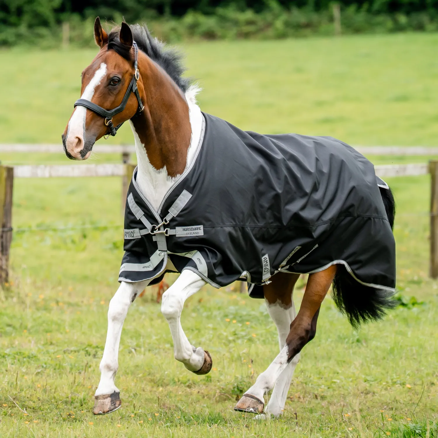 HORSEWARE ® Ireland Amigo® 1200D Turnout Standard Neck New