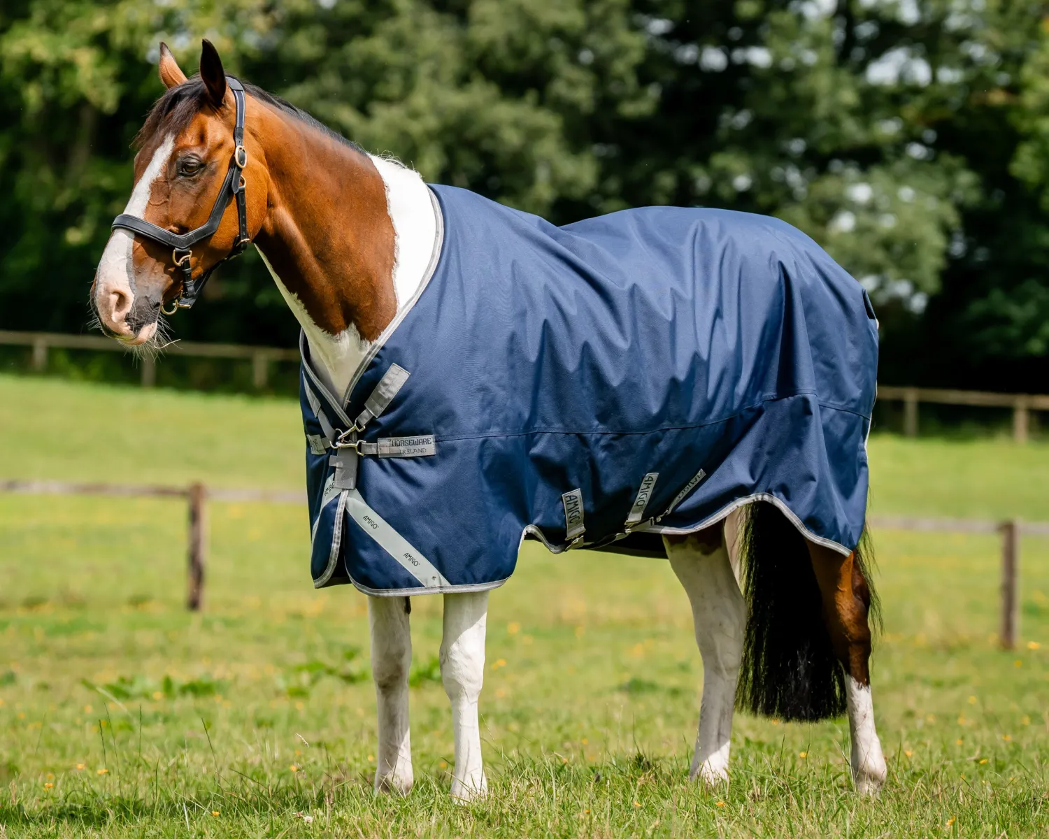 HORSEWARE ® Ireland Amigo® 1200D Turnout Standard Neck New
