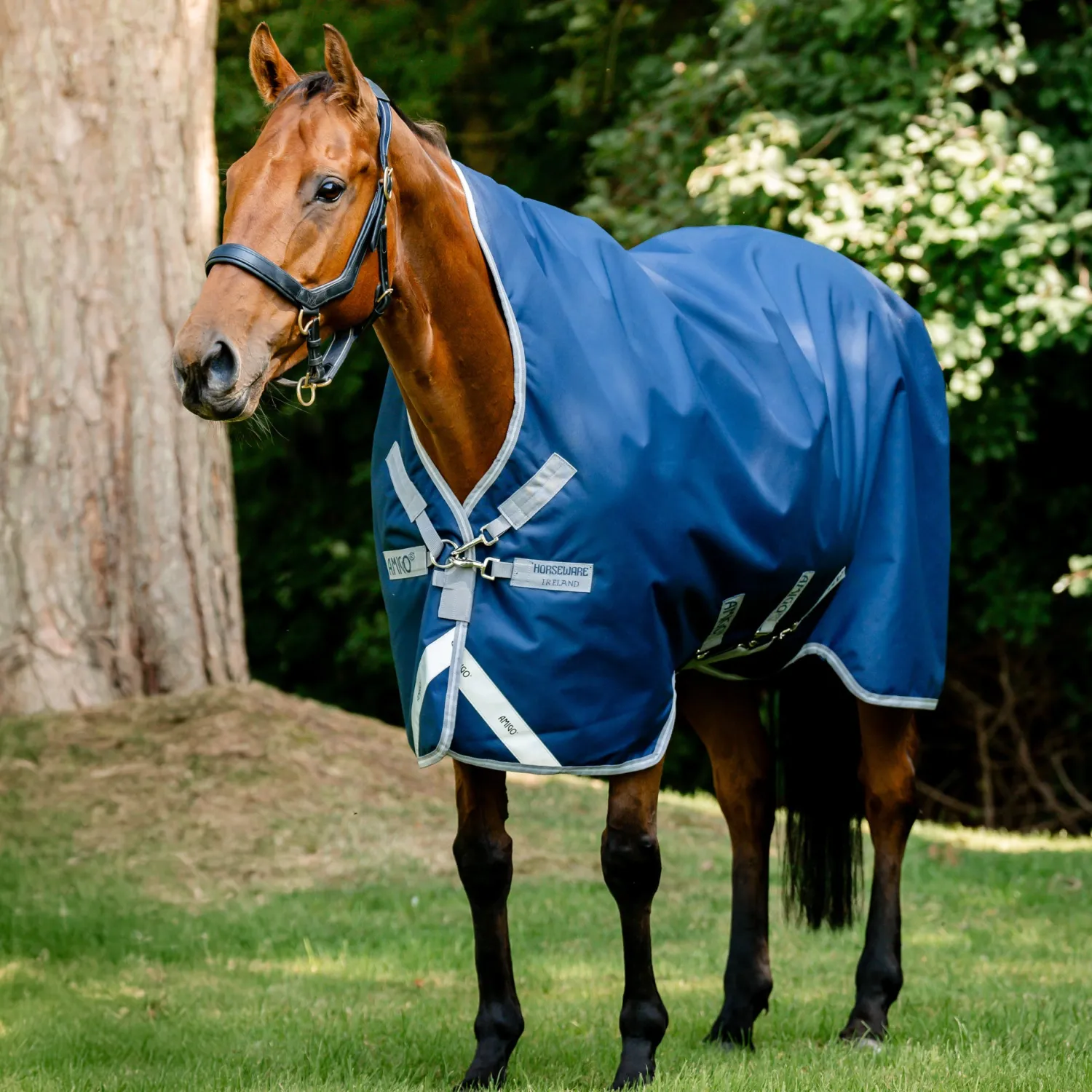 HORSEWARE ® Ireland Amigo® 1200D Wug Turnout–250 Grams