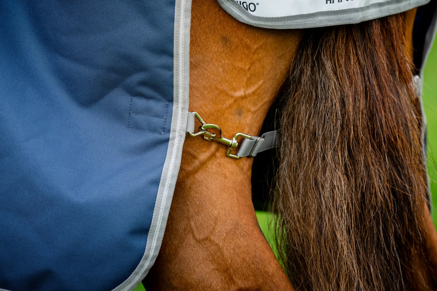 HORSEWARE ® Ireland Amigo® 1200D Plus Turnout Outlet