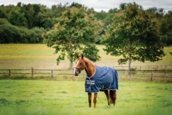 HORSEWARE ® Ireland Amigo® 900D Ripstop 0 Gram Turnout Sheet Online
