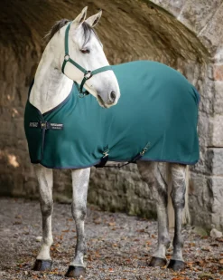 HORSEWARE ® Ireland Amigo® Jersey Cooler Dynasty Green/Navy Hot