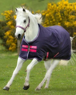 HORSEWARE ® Ireland Amigo® Pony Hero 900D Medium-Weight Turnout Blanket Best