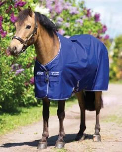 HORSEWARE ® Ireland Amigo® Pony Hero 900D Medium-Weight Turnout Blanket Best