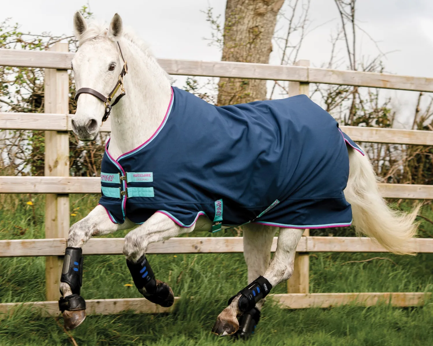 HORSEWARE ® Ireland Amigo® Pony Hero 900D Medium-Weight Turnout Blanket Best