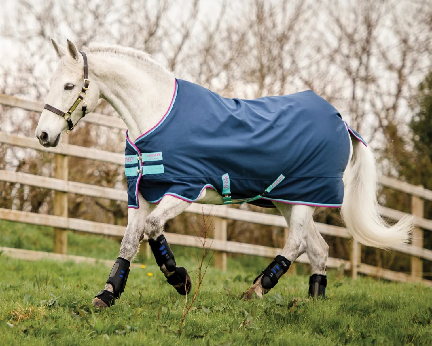 HORSEWARE ® Ireland Amigo® Pony Hero 900D Medium-Weight Turnout Blanket Best