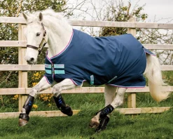 HORSEWARE ® Ireland Amigo® Pony Hero 900D Medium-Weight Turnout Blanket Best