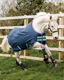 HORSEWARE ® Ireland Amigo® Pony Hero 900D Medium-Weight Turnout Blanket Best