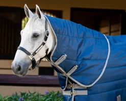 HORSEWARE ® Ireland Amigo® Ripstop Insulator Stable Plus Blanket - 350G Online