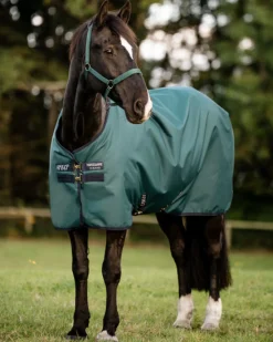 HORSEWARE ® Ireland Amigo® Ripstop 900D 100 Gram Standard Neck Pony Turnout–Seasonal Color Sale