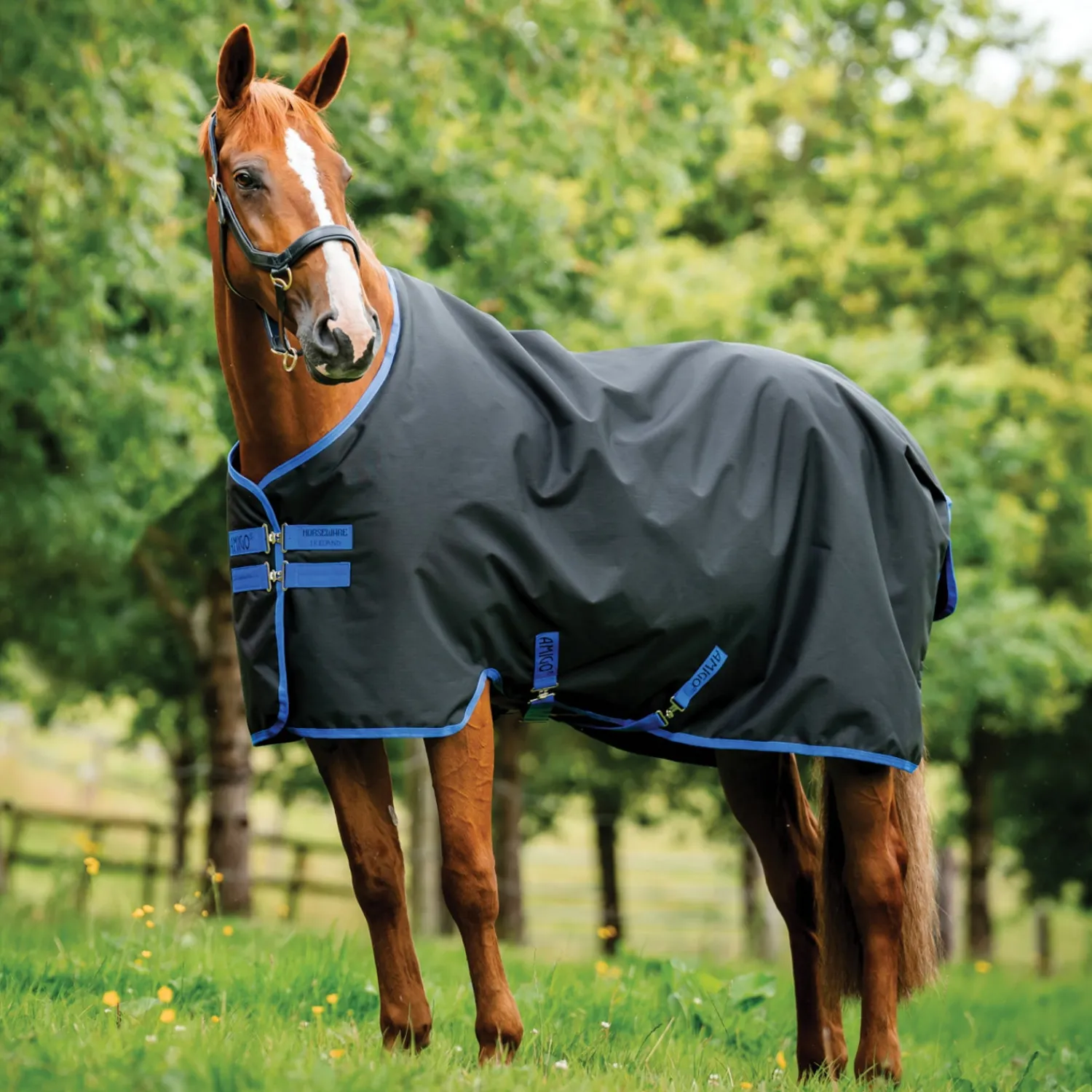 HORSEWARE ® Ireland Amigo® Ripstop 900D 200 Gram Standard Neck Turnout Clearance