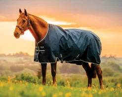 HORSEWARE ® Ireland Amigo® Ripstop 900D 200 Gram Standard Neck Turnout–Seasonal Color Online