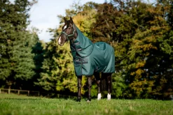HORSEWARE ® Ireland Amigo® Ripstop 900D Plus Pony Turnout Sheet Sale