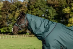 HORSEWARE ® Ireland Amigo® Ripstop 900D Plus Pony Turnout Sheet Sale