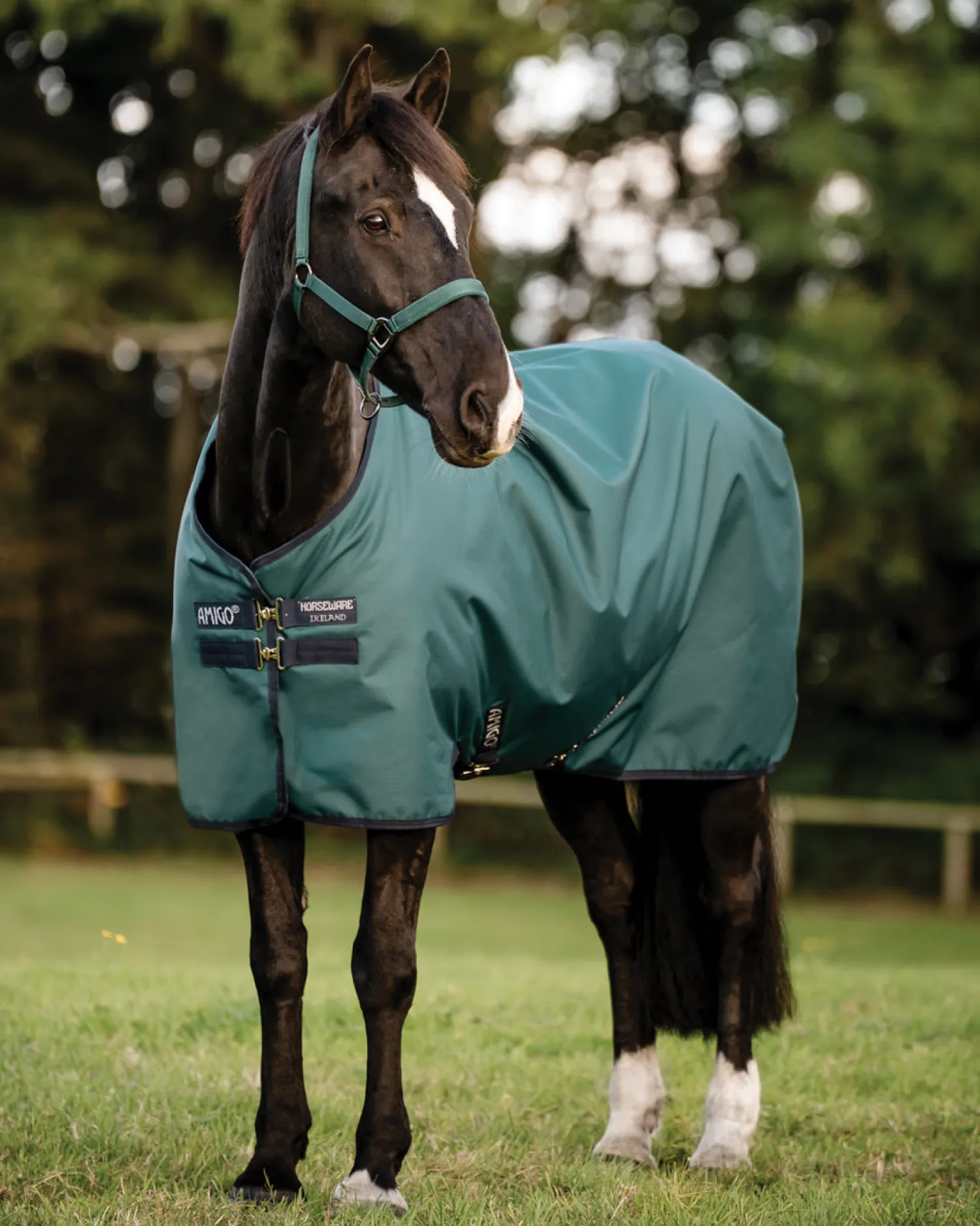 HORSEWARE ® Ireland Amigo® Ripstop 900D 100 Gram Standard Neck Turnout Discount