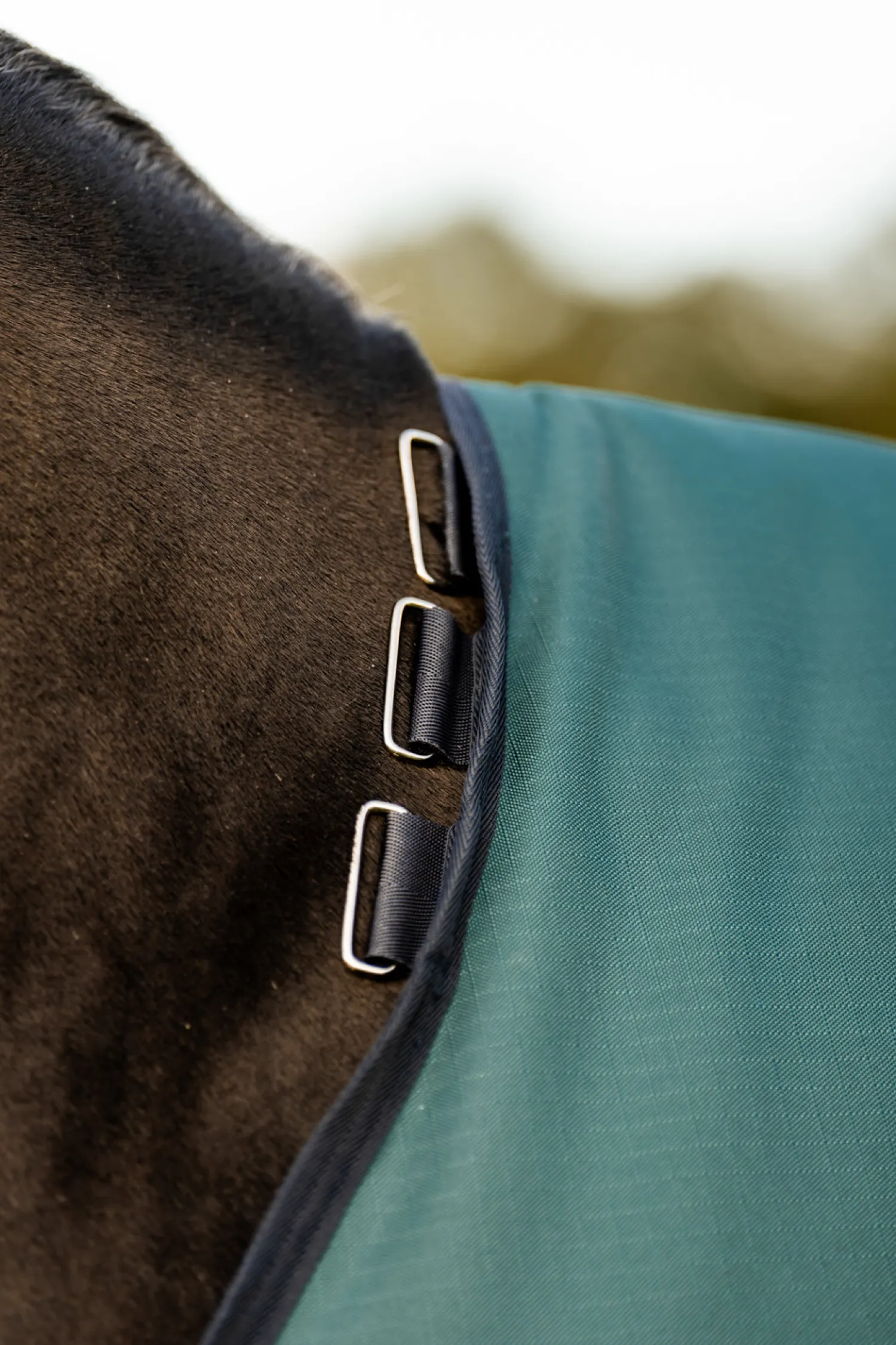 HORSEWARE ® Ireland Amigo® Ripstop 900D 100 Gram Standard Neck Turnout Discount
