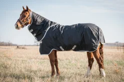 HORSEWARE Ireland® Amigo® Stock Horse Plus Turnout Light Black/Silver Discount