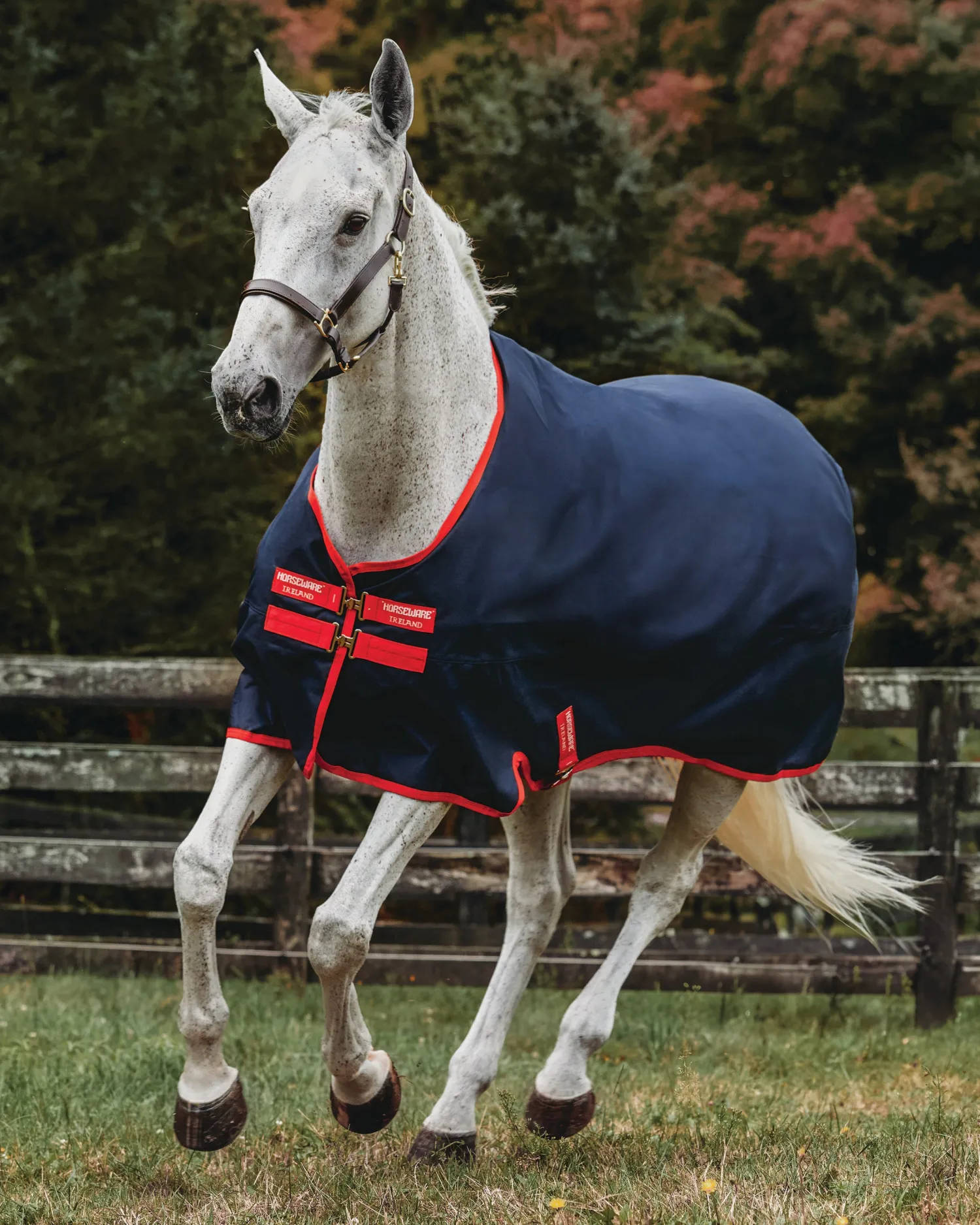 HORSEWARE ® Ireland Exclusive 600D 0 Gram Ripstop Turnout Sheet Navy/Red New