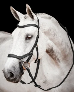 HORSEWARE ® Ireland Micklem2 Competition Bridle with Reins Outlet