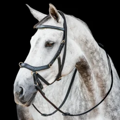 HORSEWARE ® Ireland Micklem2 Multibridle USA with Reins Best