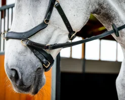 HORSEWARE ® Ireland Micklem2 Multibridle USA with Reins Best